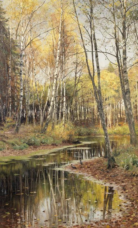 Peder Monsted Autumn in the birchwood oil painting picture